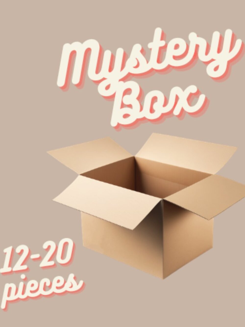 5LBS Women's Mall Brand Mixed Clothing Mystery Rescue Box